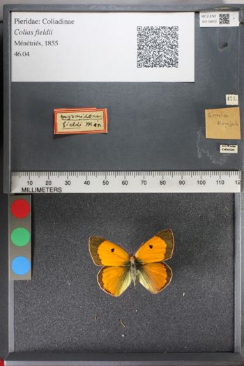 Media type: image;   Entomology 118812